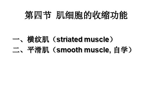第二章 4 肌细胞的收缩功能