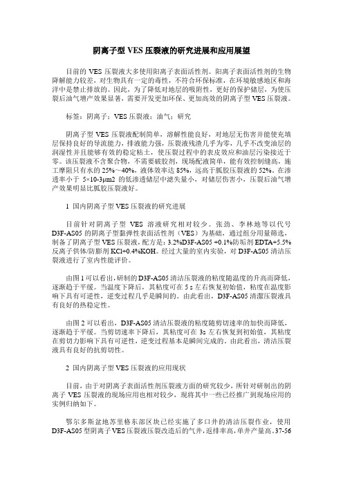 阴离子型VES压裂液的研究进展和应用展望