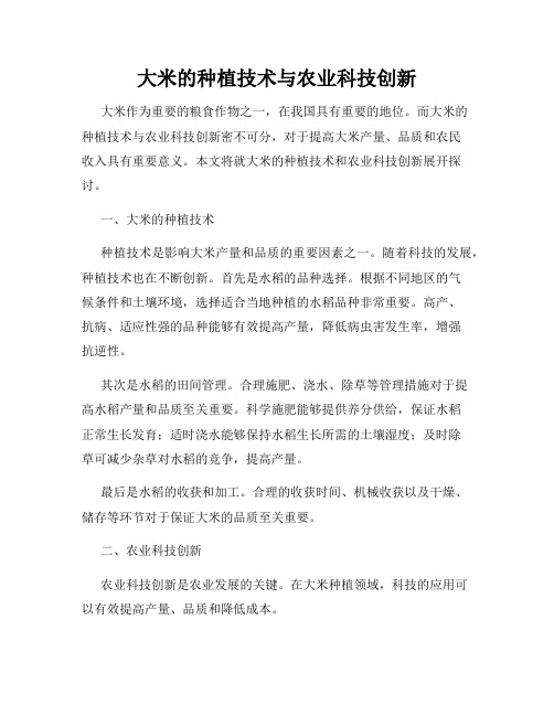 大米的种植技术与农业科技创新