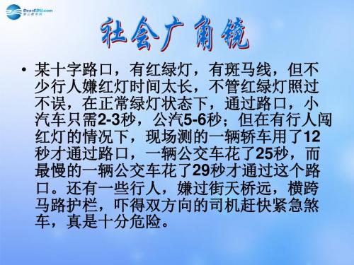 浙江省永嘉县济时中学八年级政治下册 8.2 社会规则与正义课件 粤教版
