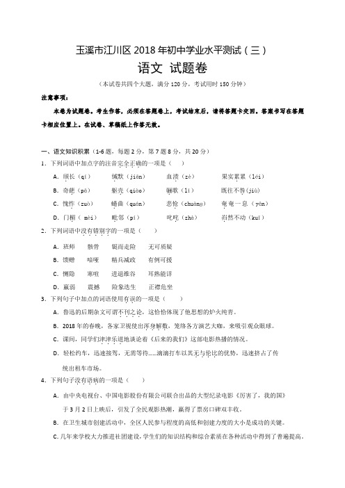 云南省玉溪市江川区2018届九年级学业水平测试(三)语文试题