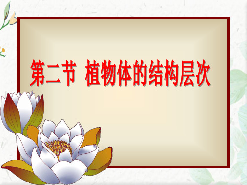 七年级上册生物体的结构层次ppt