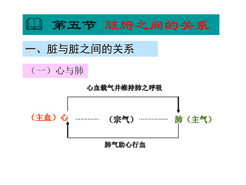 脏腑关系气血津液经络体质(另