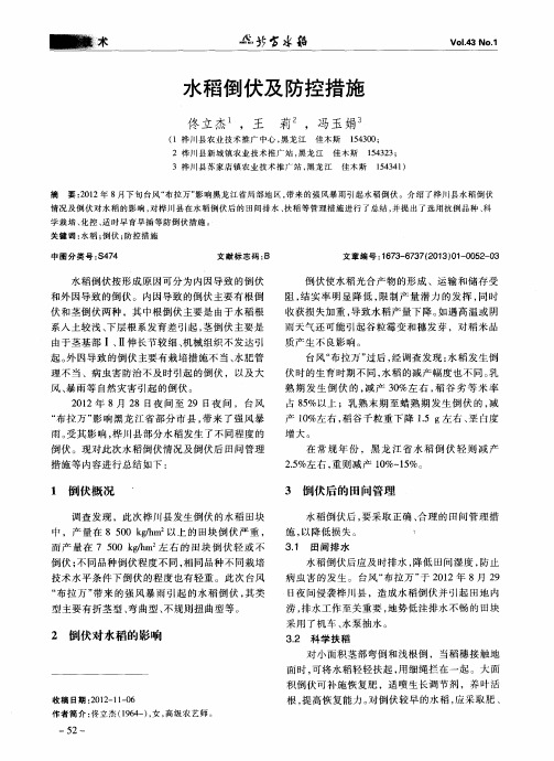 水稻倒伏及防控措施