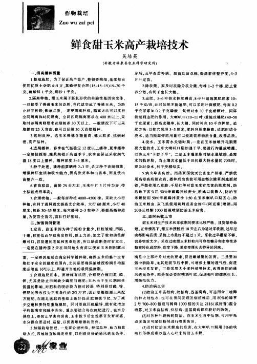 鲜食甜玉米高产栽培技术