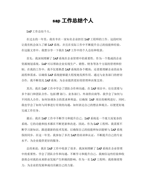 sap工作总结个人