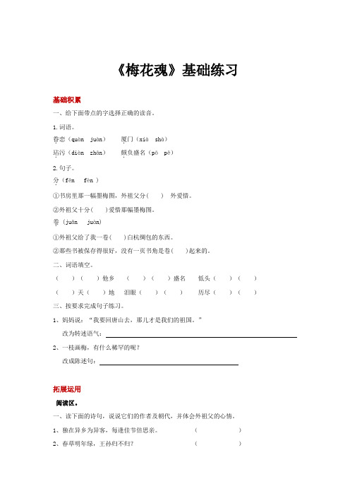 人教版五年级语文上册【基础练习】《梅花魂》
