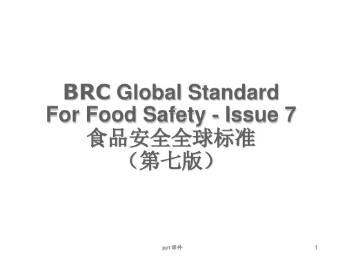 食品安全全球标准  ppt课件