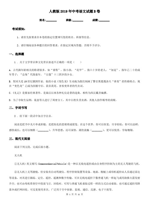 人教版2019年中考语文试题B卷新版