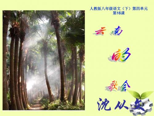 《云南的歌会》ppt课件(46页)