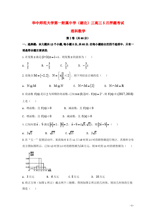 湖北省华中师范大学第一附属中学高三数学5月押题考试试题 理