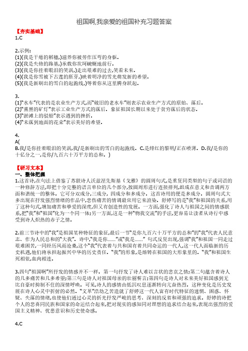部编教材九年级下语文补充习题答案