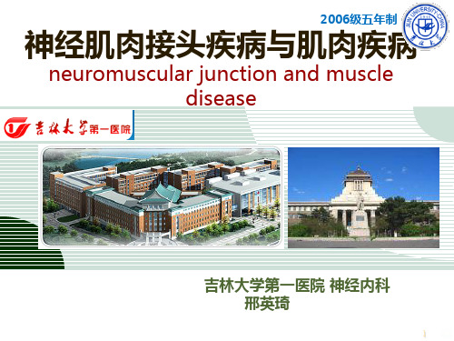 神经肌肉接头与肌肉疾病PPT课件