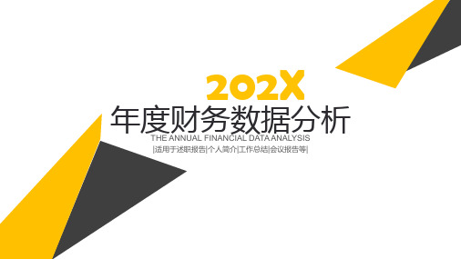 商务简洁财务分析报告ppt模板