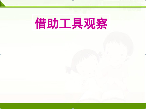 苏教版科学一年级上册课件：6 借助工具观察 课件(13张ppt) 新教材(1)
