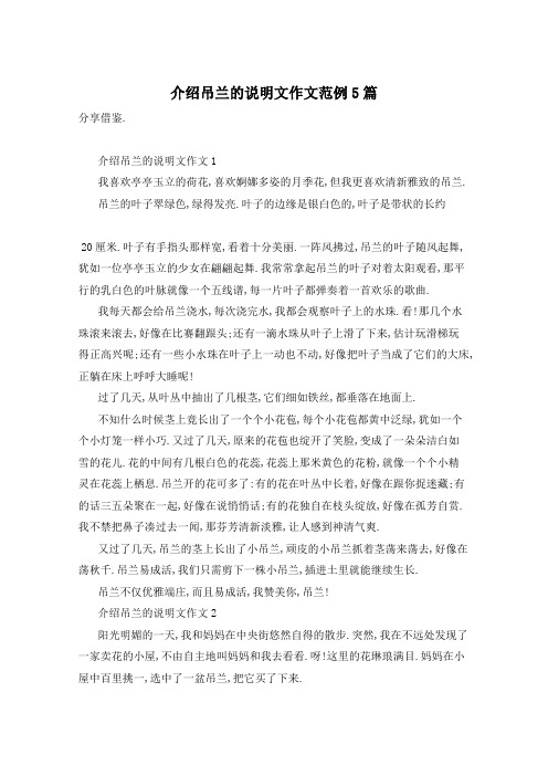 介绍吊兰的说明文作文范例5篇