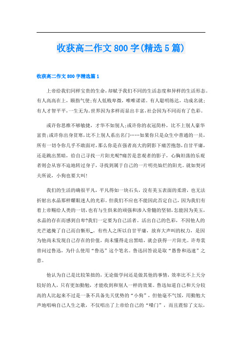 收获高二作文800字(精选5篇)