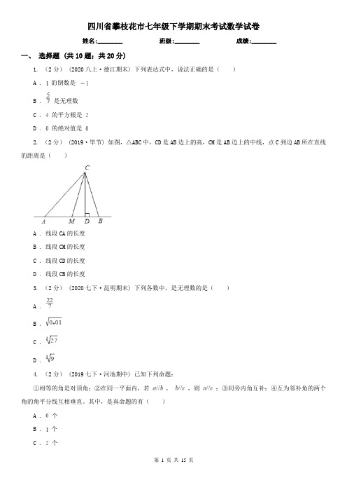 四川省攀枝花市七年级下学期期末考试数学试卷