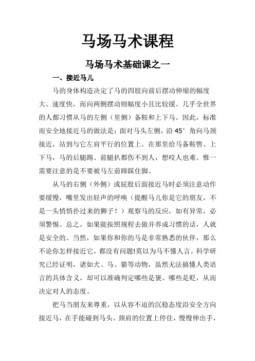 马场马术课程