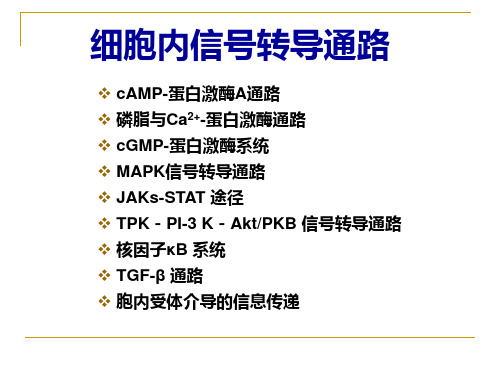 信号转导通路与疾病
