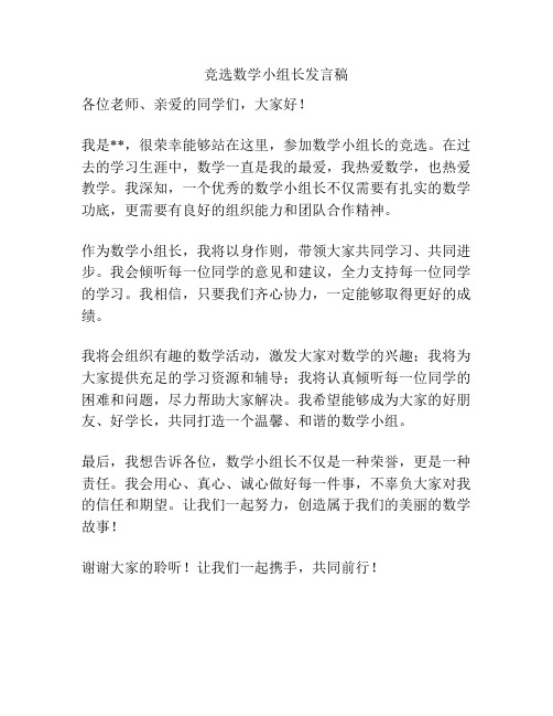 竞选数学小组长发言稿