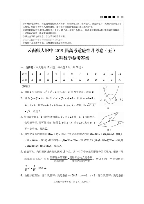 【百强市校】云南省师范大学附属中学2019届高三第五次月考数学(文)答案