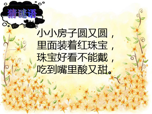 石榴笑了课件3