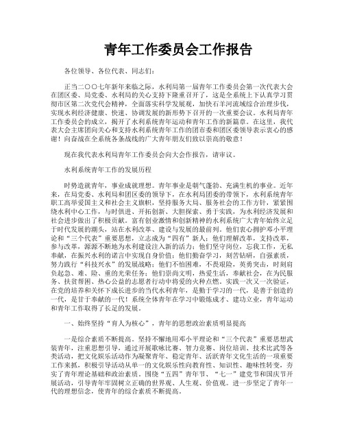 青年工作委员会工作报告