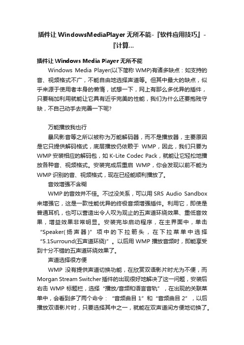 插件让WindowsMediaPlayer无所不能-『软件应用技巧』-『计算...