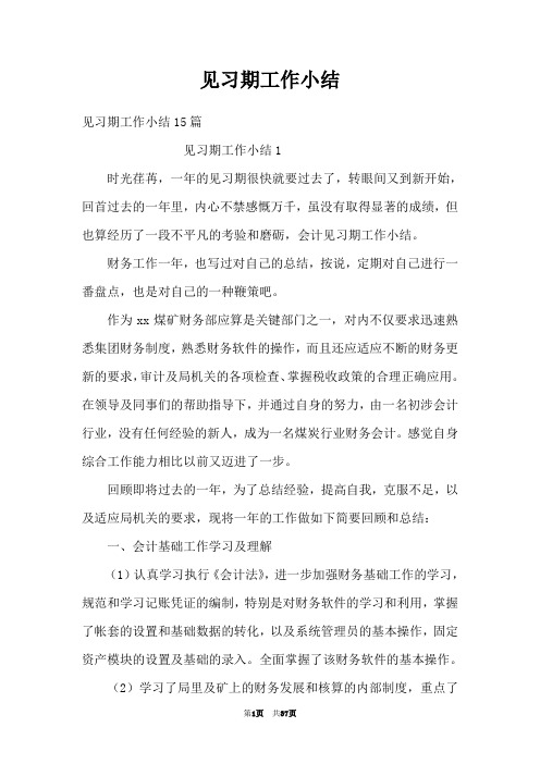 见习期工作小结