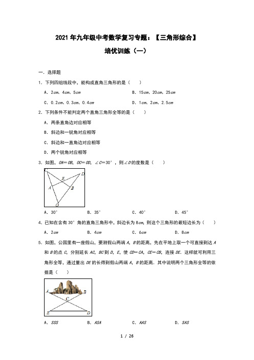 2021年九年级中考数学复习专题：【三角形综合】培优训练(一)