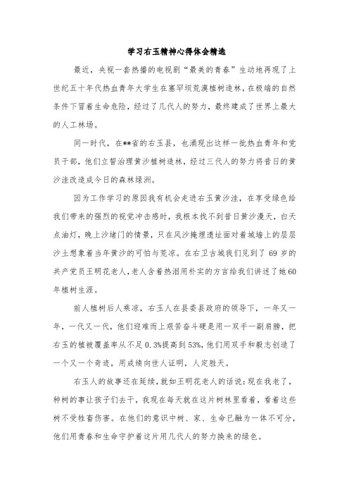 学习右玉精神心得体会精选
