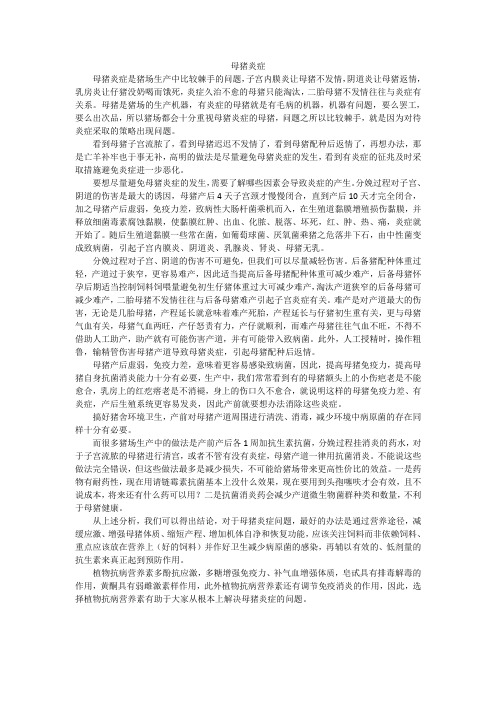 母猪炎症