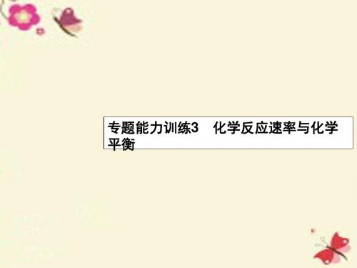 【优化设计】2016年高考化学二轮复习 专题能力训练3 化学反应速率与化学平衡(含15年高考题)课件