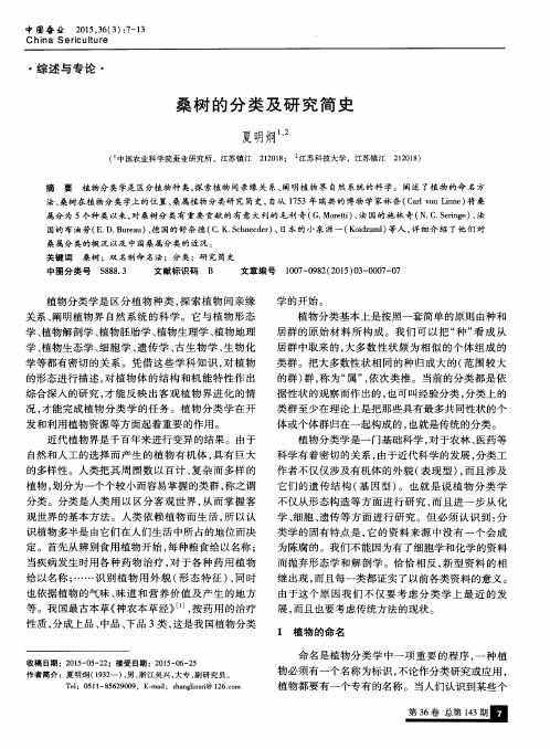 桑树的分类及研究简史