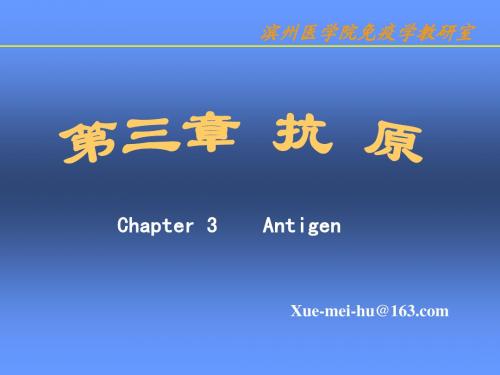 第三章 抗原 Antigen