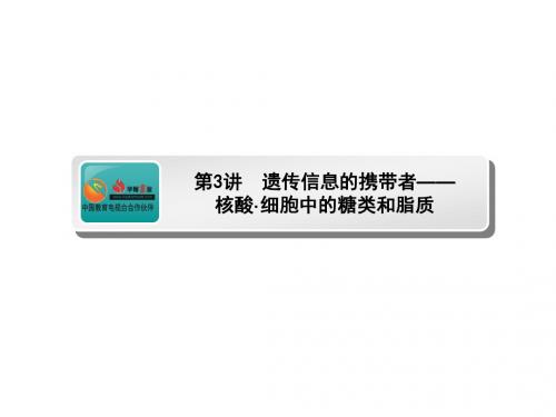 高考生物(人教版)一轮复习课件：遗传信息的携带者