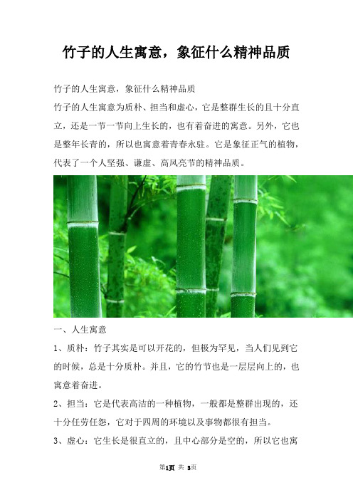 竹子的人生寓意，象征什么精神品质