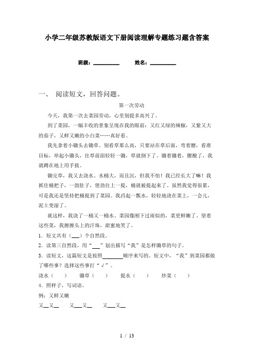 小学二年级苏教版语文下册阅读理解专题练习题含答案