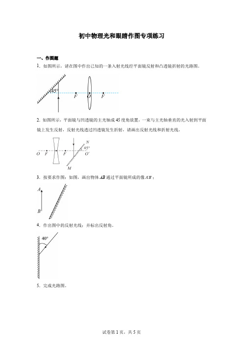 初中物理光和眼睛作图专项练习