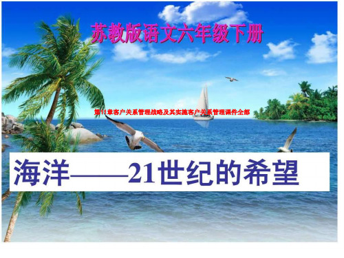 第11章客户关系管理战略及其实施客户关系管理课件全部