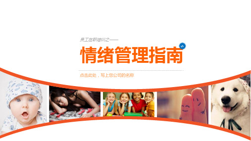 员工在职培训之情绪管理指南.pptx