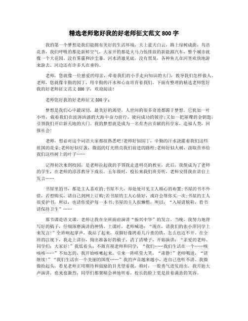 精选老师您好我的好老师征文范文800字