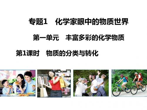 苏教版高中化学必修一课件1.1.1物质的分类与转化课件2