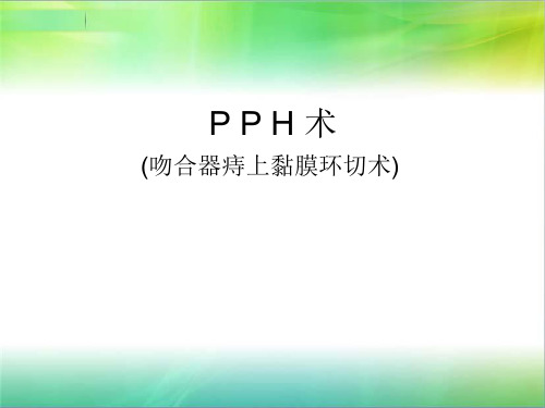 PPH简介