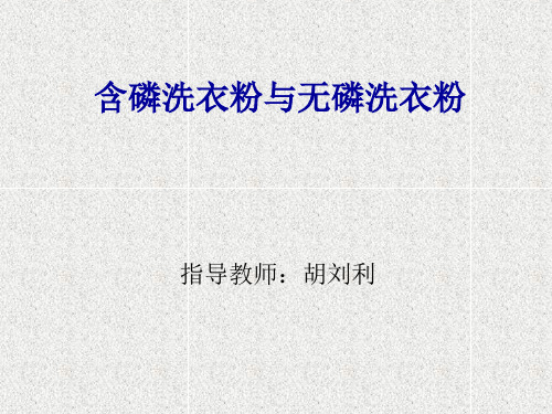 含磷洗衣粉与无磷洗衣粉精品PPT课件
