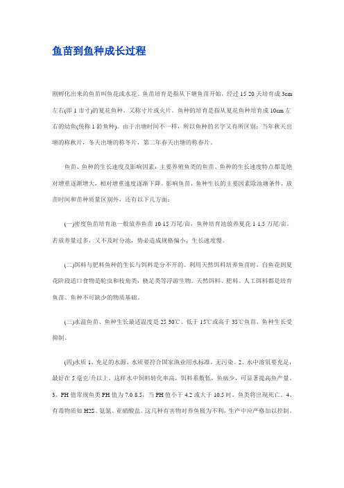 鱼苗到鱼种成长过程