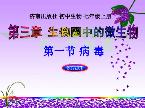 第一节病毒PPT课件