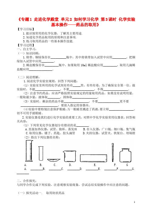 湖北省孝感市孝南区肖港初级中学九年级化学上册《专题1 走进化学殿堂 单元2 如何学习化学 第3课时 