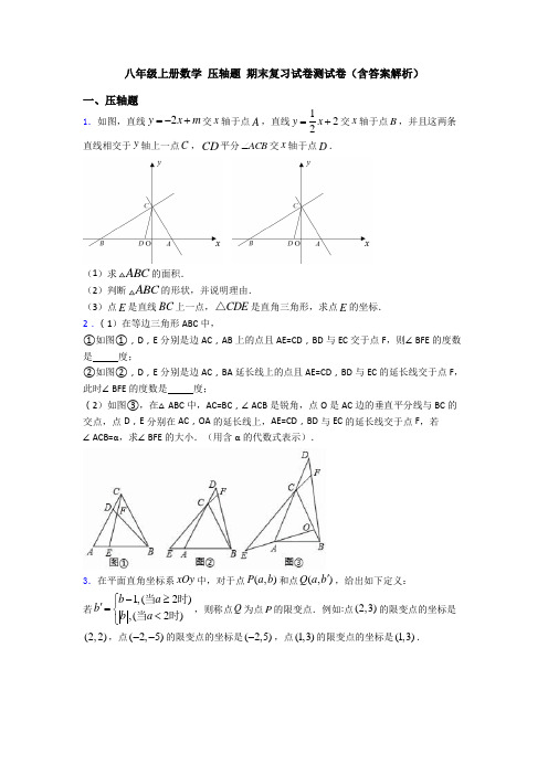 八年级上册数学 压轴题 期末复习试卷测试卷(含答案解析)